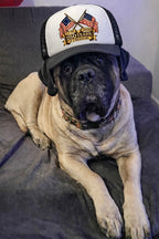 250 Years of Freedom Flag Badge Trucker Hat | Patriotic Dog Foam Cap